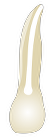 Tooth 22