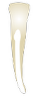Tooth 32