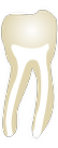 Tooth 46